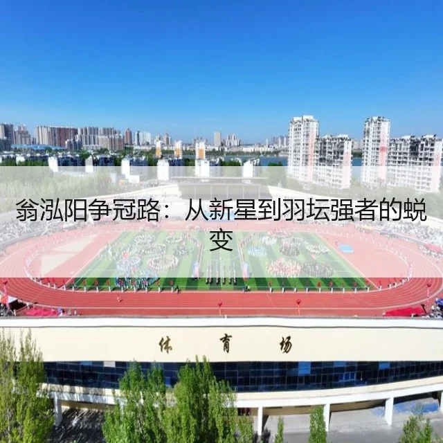 翁泓阳争冠路：从新星到羽坛强者的蜕变